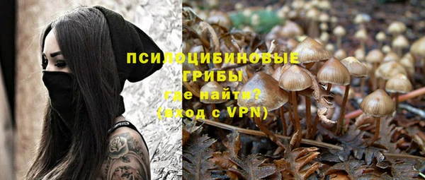 герыч Алексин