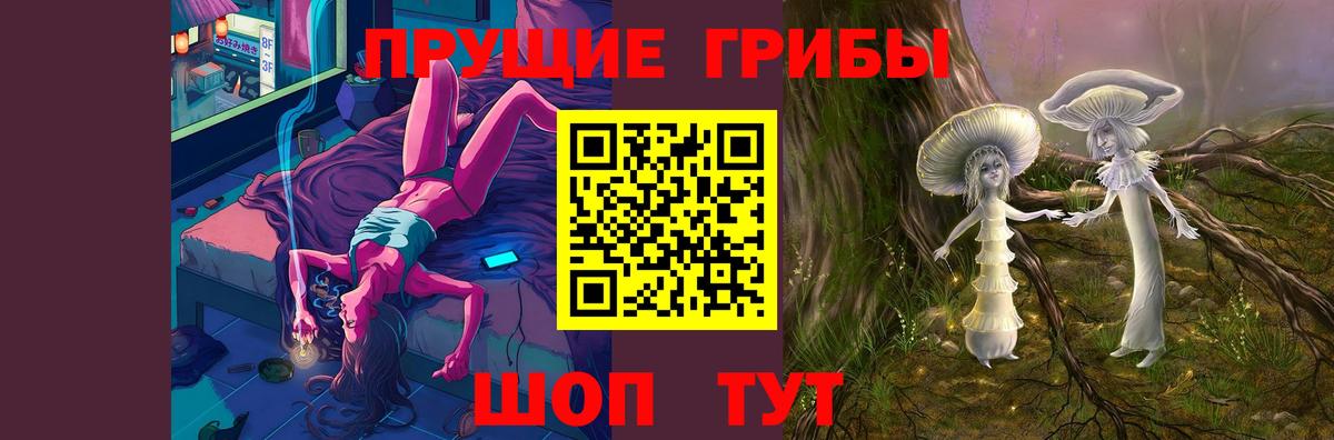 Тюмень  Галлюциногенные грибы Psilocybe  Вход с VPN 